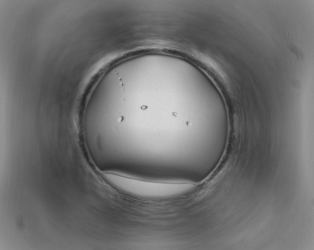 X0000115221318200911121916