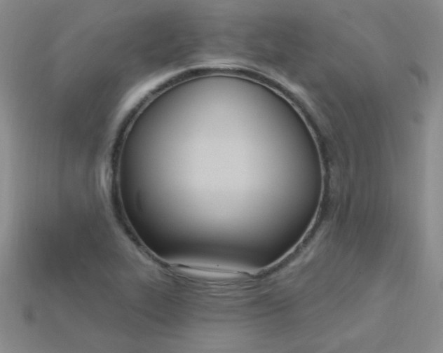 X0000115221319200911121917