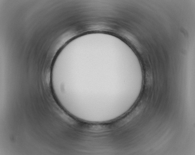 X0000115221322200911121917