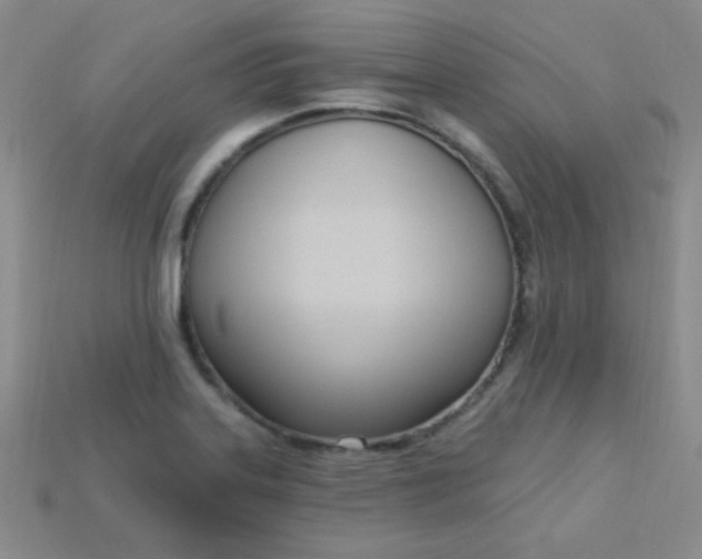 X0000115221323200911121917