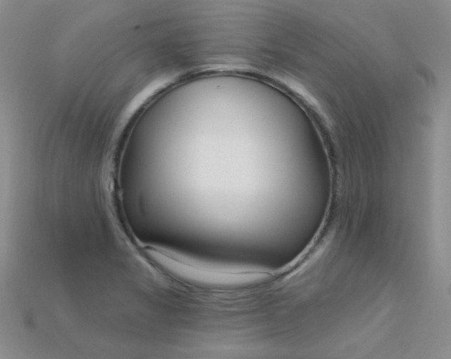 X0000115221325200911121917