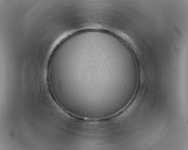 X0000115221326200911121917