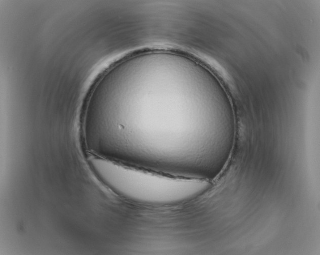 X0000115221327200911121917