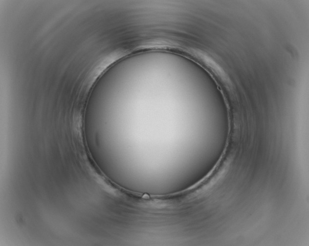 X0000115221329200911121917