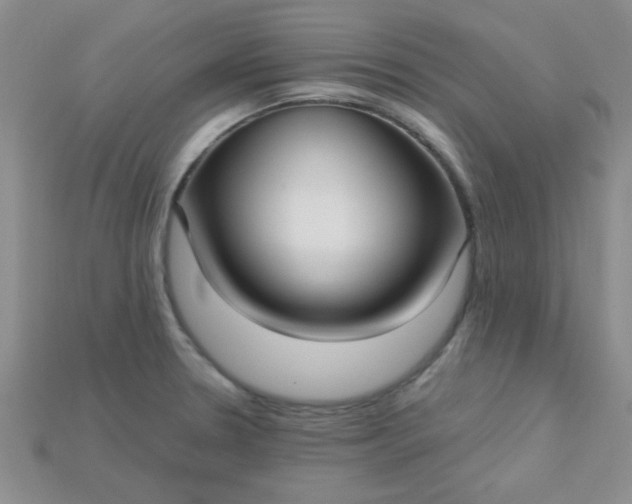 X0000115221330200911121917