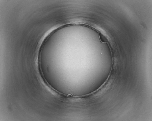 X0000115221331200911121917