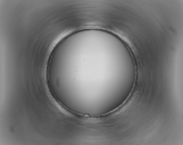 X0000115221333200911121917