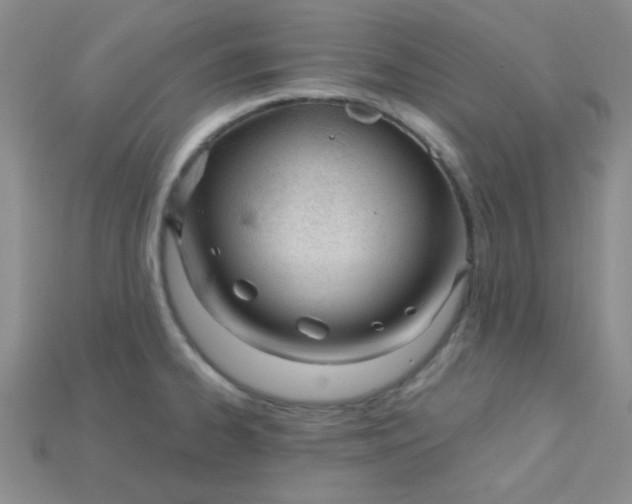 X0000115221334200911121917