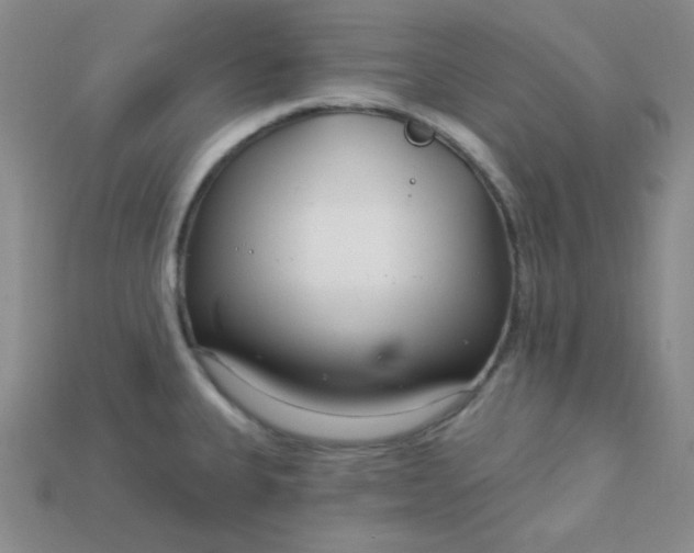 X0000115221335200911121917