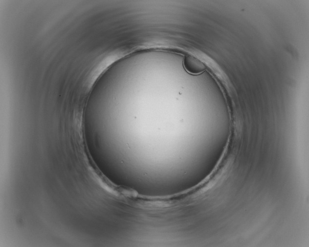 X0000115221337200911121917