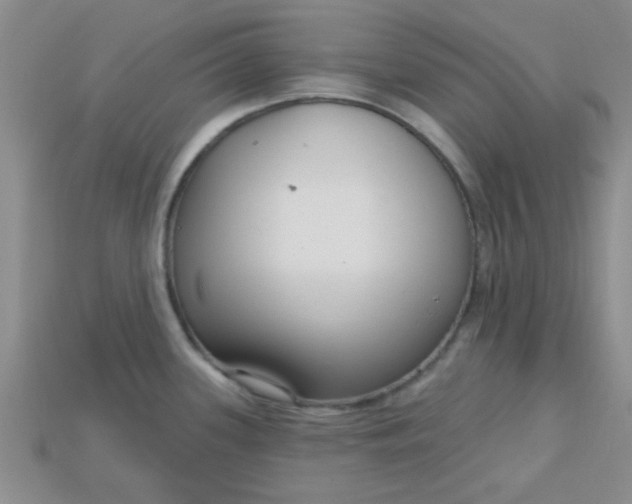 X0000115221339200911121917