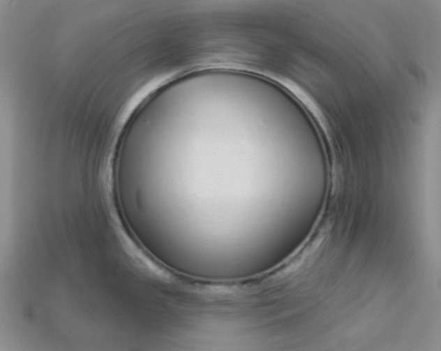 X0000115221341200911121917