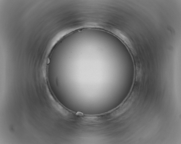 X0000115221342200911121917