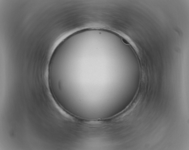 X0000115221343200911121917
