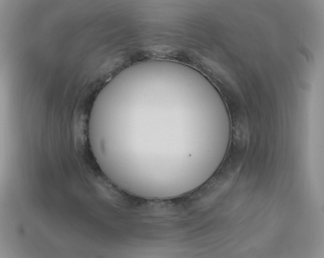 X0000115221346200911121916