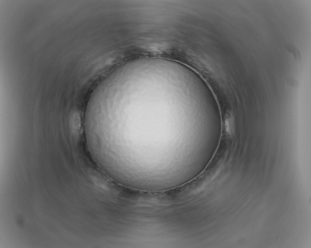 X0000115221347200911121916