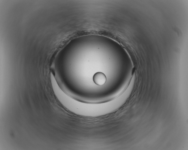 X0000115221348200911121916