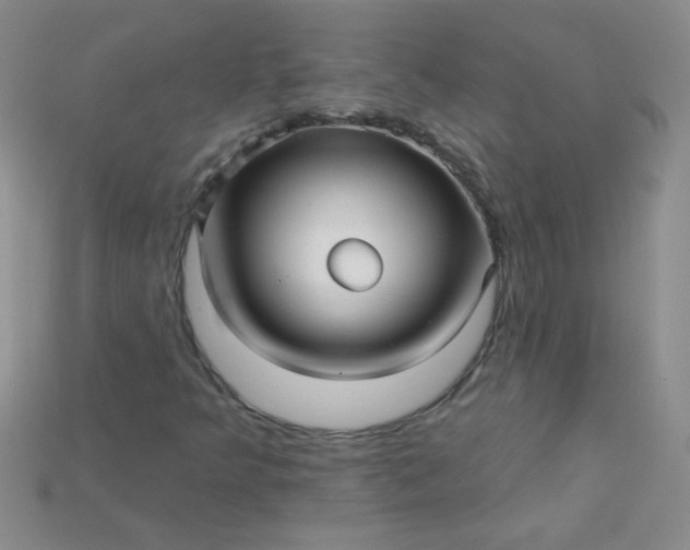 X0000115221349200911121916