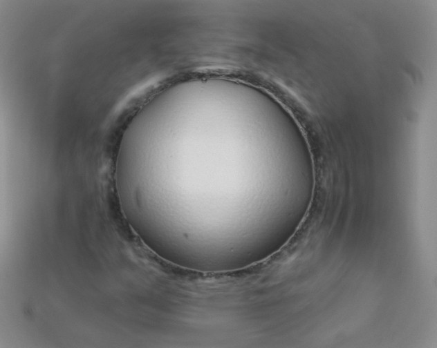 X0000115221351200911121916