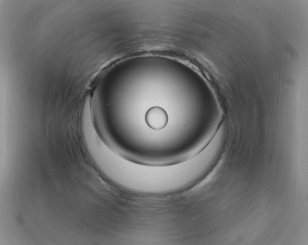 X0000115221353200911121916