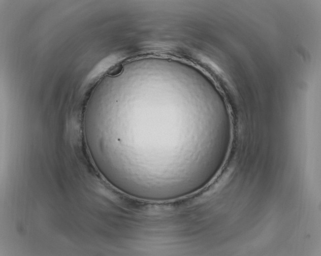 X0000115221354200911121916