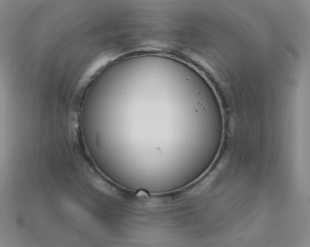 X0000115221355200911121916
