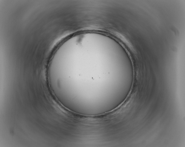 X0000115221356200911121916