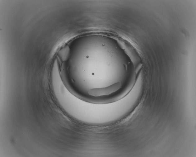 X0000115221357200911121916