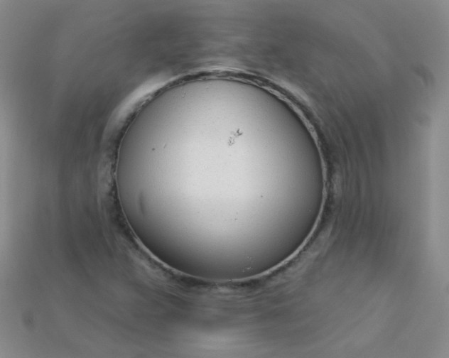 X0000115221359200911121916