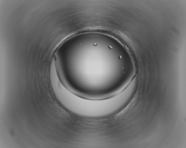 X0000115221361200911121916