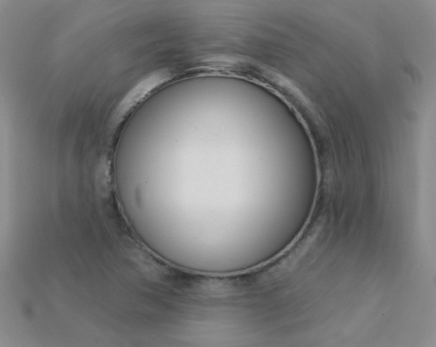 X0000115221362200911121916