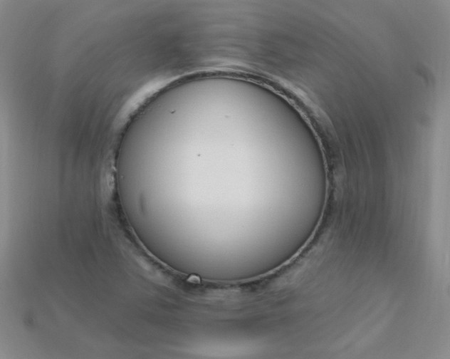 X0000115221363200911121916