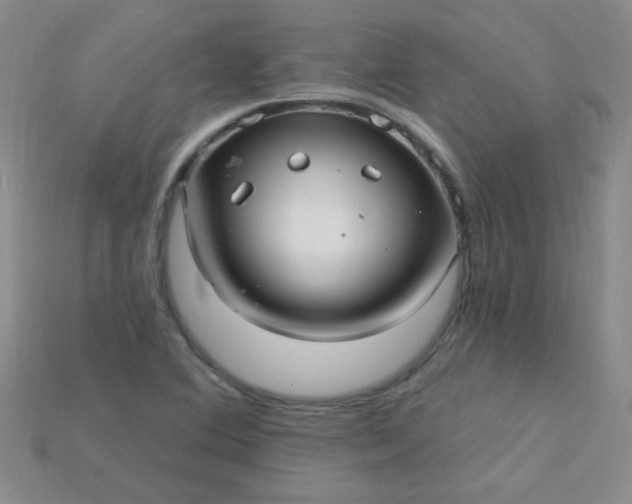 X0000115221364200911121916