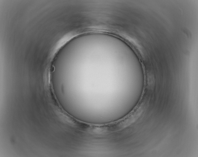 X0000115221365200911121916