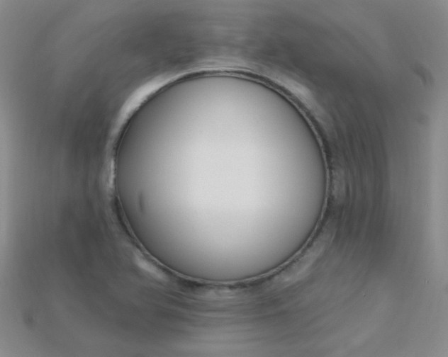 X0000115221366200911121916
