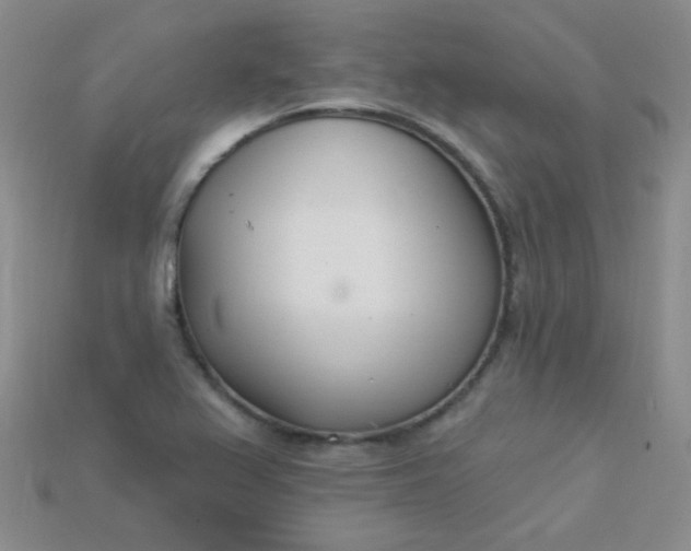 X0000115221367200911121916