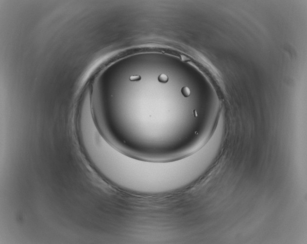 X0000115221368200911121916