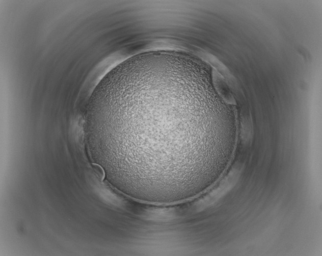 X0000115221369200911121916