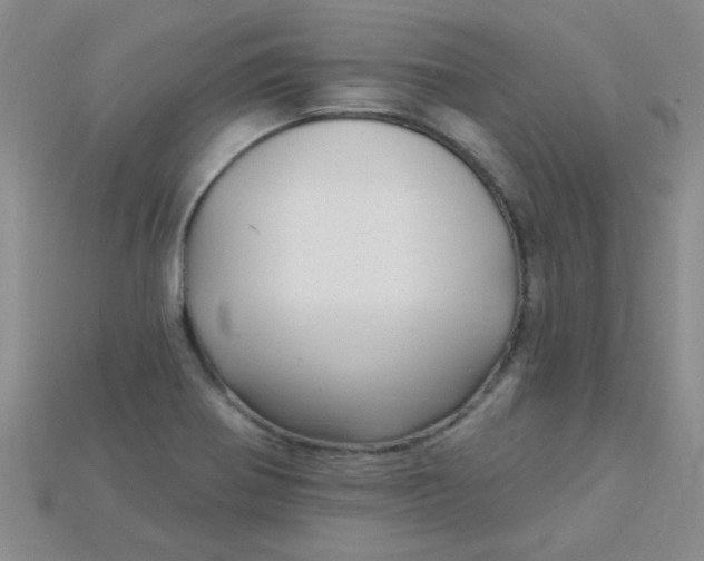 X0000115221370200911121916