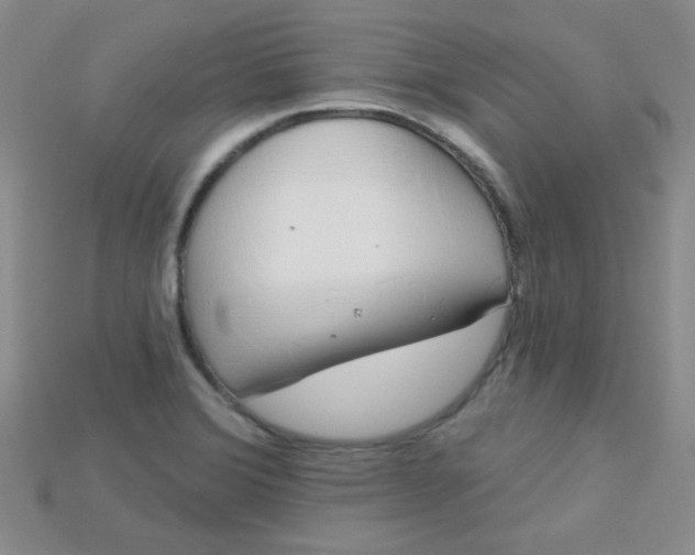 X0000115221372200911121916