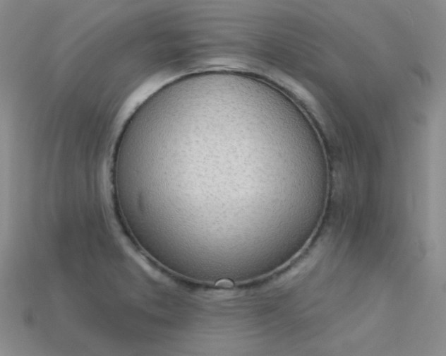 X0000115221373200911121916