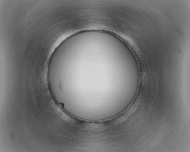 X0000115221374200911121916