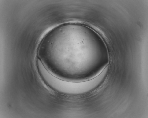X0000115221375200911121916