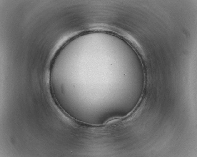 X0000115221376200911121916
