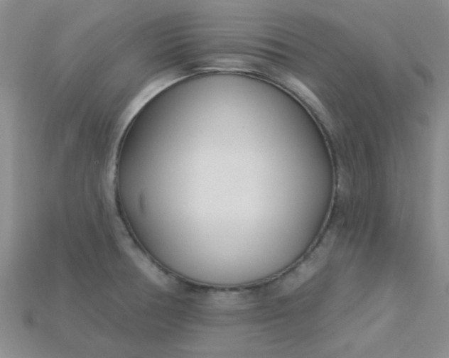 X0000115221378200911121916
