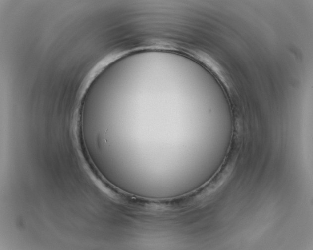 X0000115221379200911121916