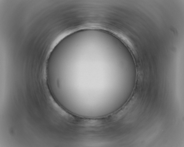 X0000115221382200911121916