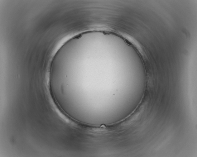 X0000115221383200911121916