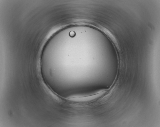 X0000115221384200911121916