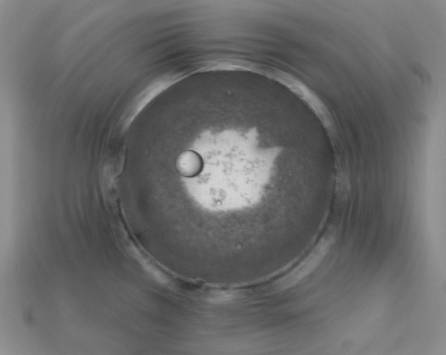 X0000115221385200911121916